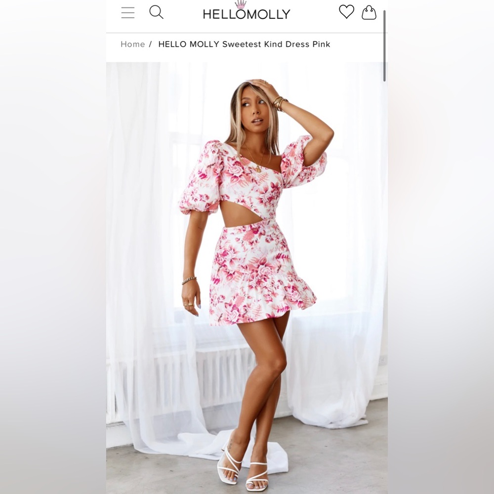 Brand new (with tags) dress from Hello Molly.